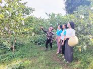 Hội LHPN xã Nghĩa Thọ thăm quan mô hình hội viên phát triển kinh tế hiệu quả